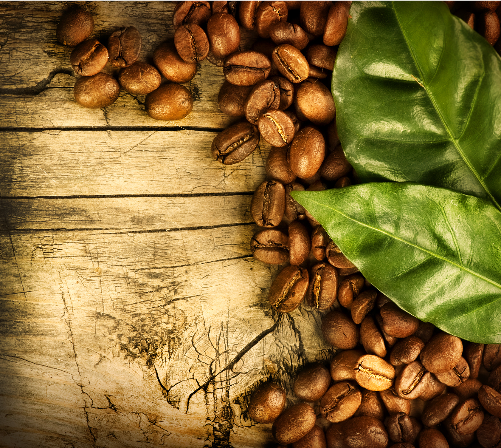 Organic coffee